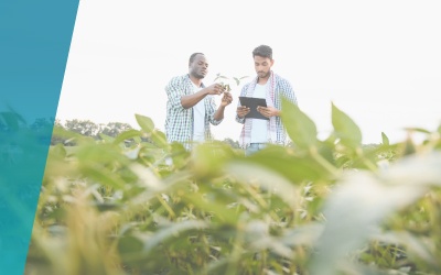 Investimento Produtivo Jovens Agricultores