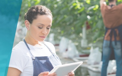 Investimento Produtivo Bioeconomia – Modernização