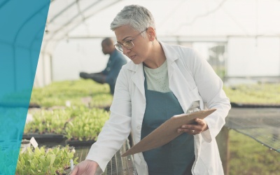 Investimento na Bioeconomia para Melhoria do Desempenho Ambiental